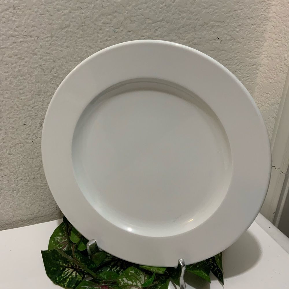 Arian Design by Vavro Fine porcelain 12.5” Platter Dinner G6